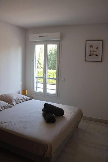 Suberbe Appartement Climatise Avec Terrasse Saint-Raphaël Exteriér fotografie